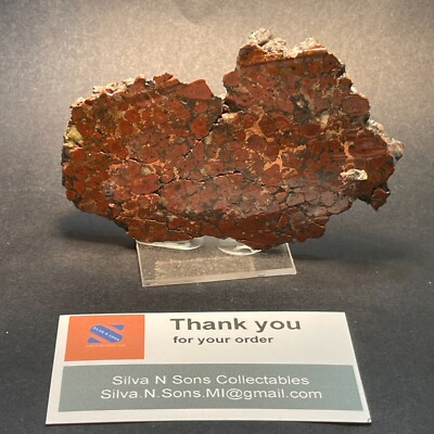 Copper in Matrix on stand lacquered, Morncci, Greenlee Co, AZ, USA 110x70x.7mm