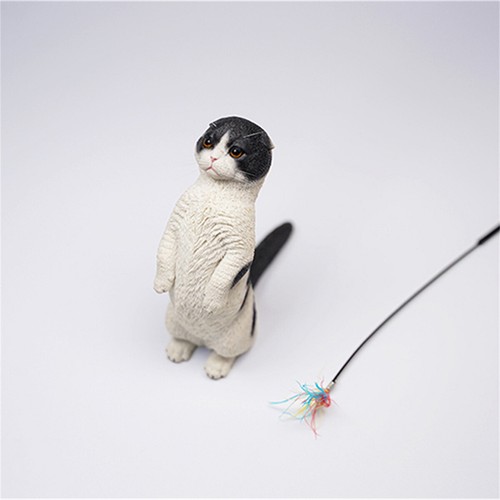 JXK 1/6 Scottish Fold Model Cute Cat 2.0 Animal Collector Decor GK Kids Toy Gift - Picture 6 of 29