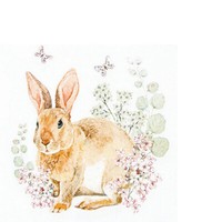 20 Kleine Cocktailservietten Rosi Rabbit Hase Tiere Blumen Garten Deko 25X25Cm