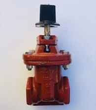 NEW KENNEDY 98Y8 KS-FW FIRE GATE VALVE CAST IRON