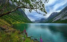 Landscape nature lake wildflowers trees mountains norway Custom Gaming Mat Desk