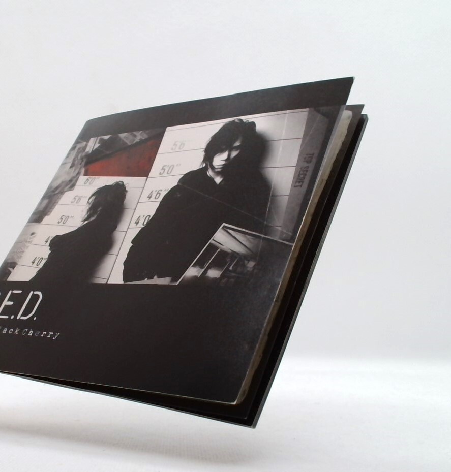 Acid Black Cherry 2ndアルバム　Q.E.D s-l400.jpg