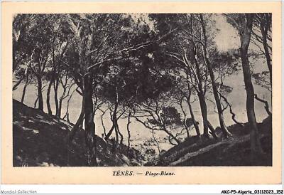 AKCP5-0479-ALGERIEN - TENES - Strand-Weiß