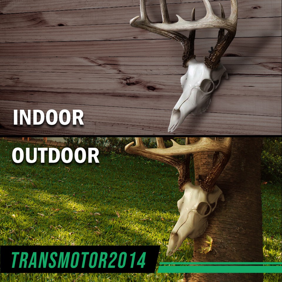 5Pcs European Mount Skull Wall Hanger Hook Deer Antelope Antler Mount