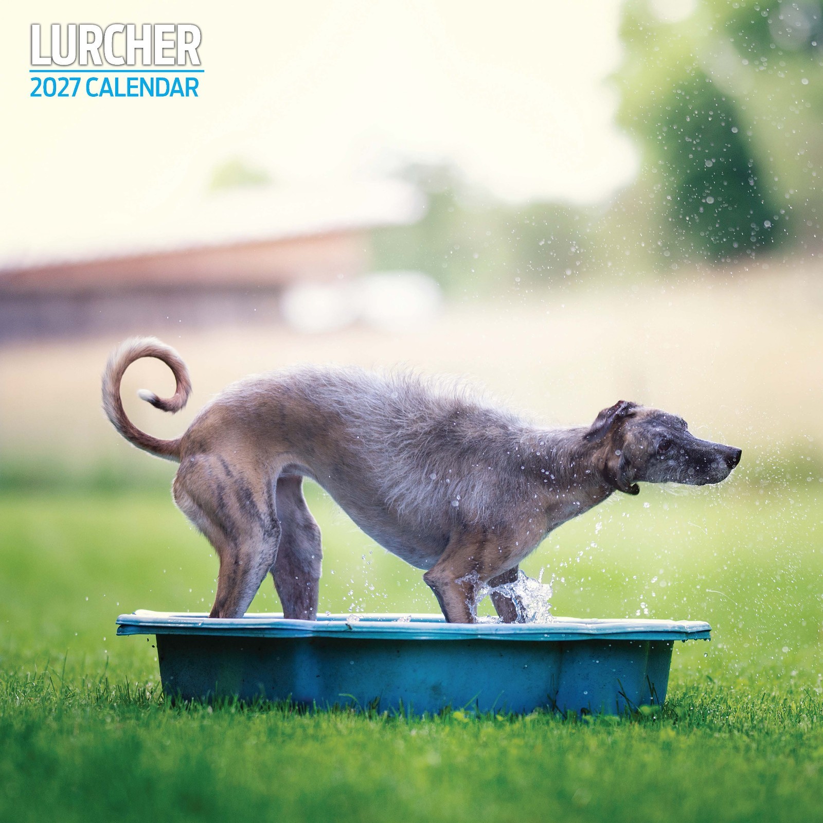 Lurcher 2027 Traditional Calendar - Image 2