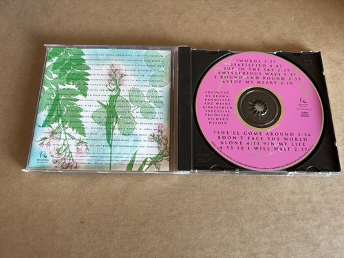 Kim Hill Brave Heart 1991 Reunion Records CD Brown Bannister producer CCM - Imagen 2 de 3