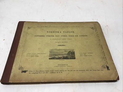 1875 Picturesque views from Sweden, Norway and Denmark 72 Woodcuts In Swedish