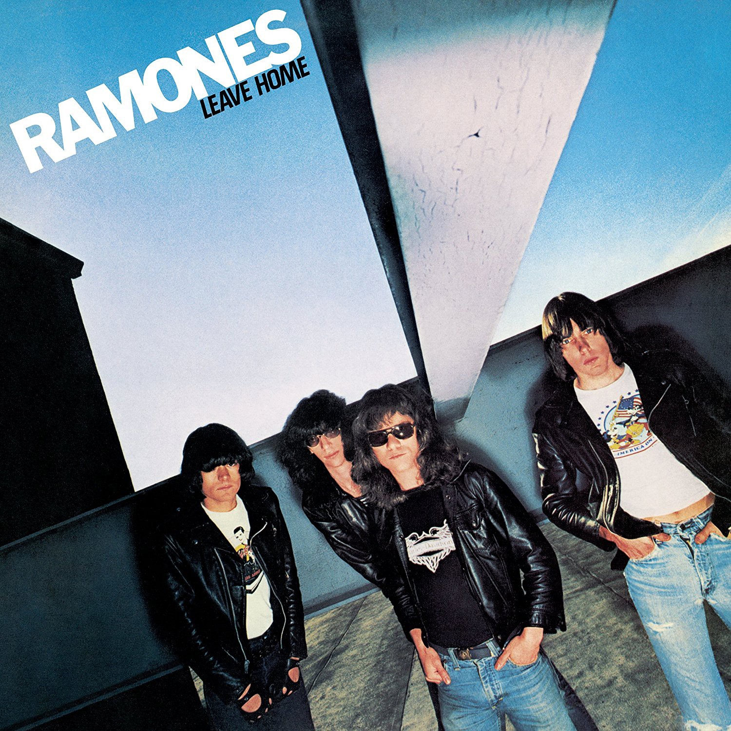 Ramones покидают дом (винил) 12 альбом (ИМПОРТИРОВАН из Великобритании)