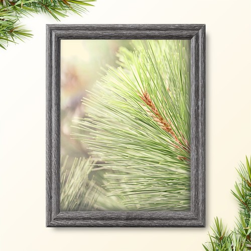 US ART Frames 0.75" Traditional Colors Wall Decor Picture Frame - 19x24 Inch - Foto 6 di 43