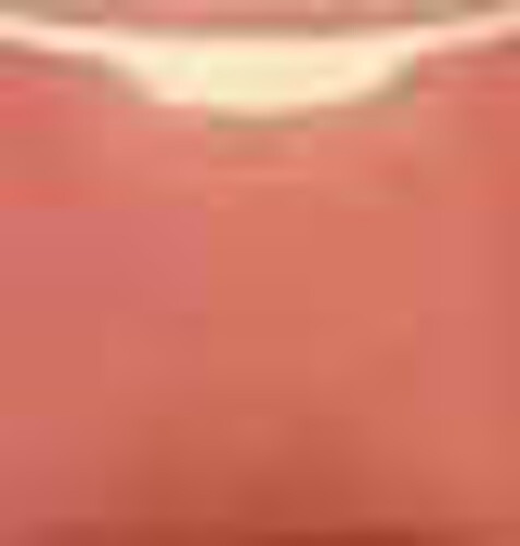 Cantaloupe 1054