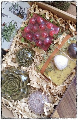 Caja de 5 Jabones Artesanales de Caldo de Brujas