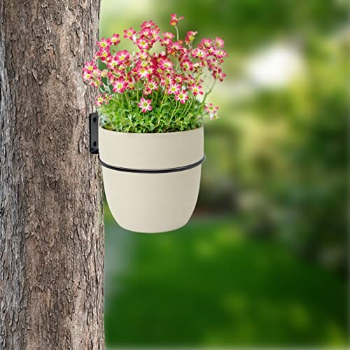 6 Pack 8 Inch Wall Flower Pot Holder Ring Plant Hanger, Metal Planter Hooks - Picture 6 of 6
