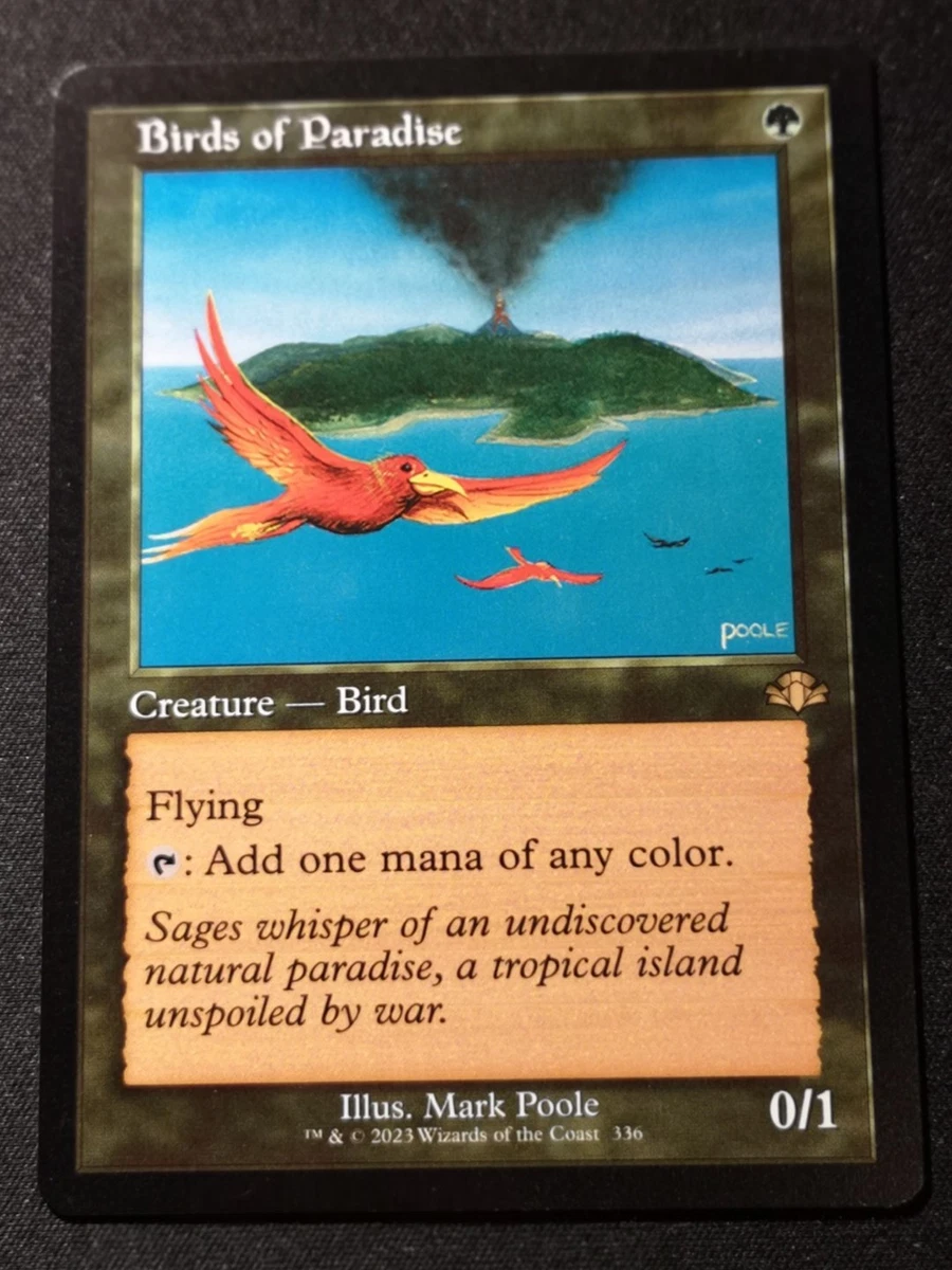 Birds of Paradise 万智牌| eBay
