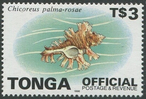 Tonga Official 1996 SGO258 $3 Shell MNH