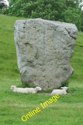 Foto 6x4 Schaf und ein stehender Stein Avebury\/SU1069 Schafe lagen neben einem c2014