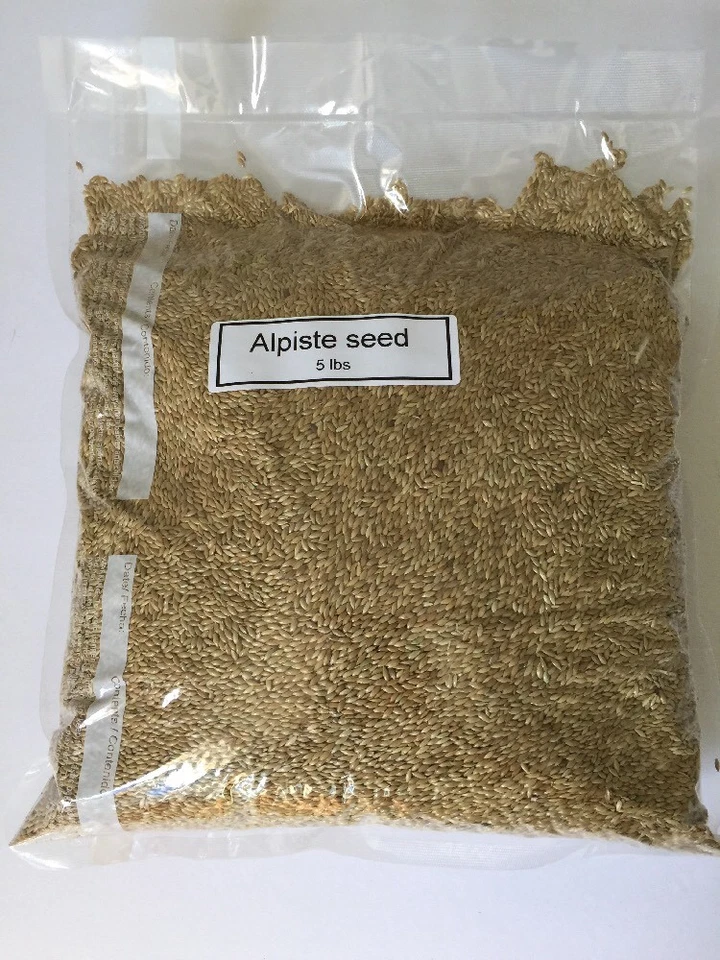 BIENZUMBADO S FEEDS Alpiste Seed Canary Seed (5Lbs) vacuum Sealed