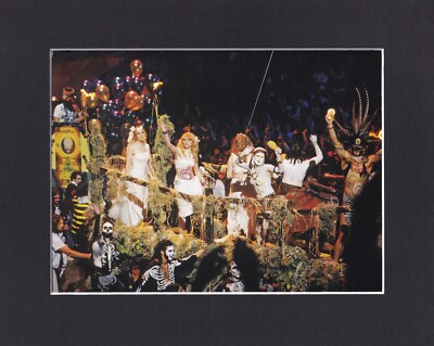 8X10'' Matted Print Picture, Grateful Dead: 1995, Mardi Gras Float