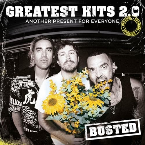 Busted - Greatest Hits 2.0 Another Present For Everyone - Cd - G4Z-image