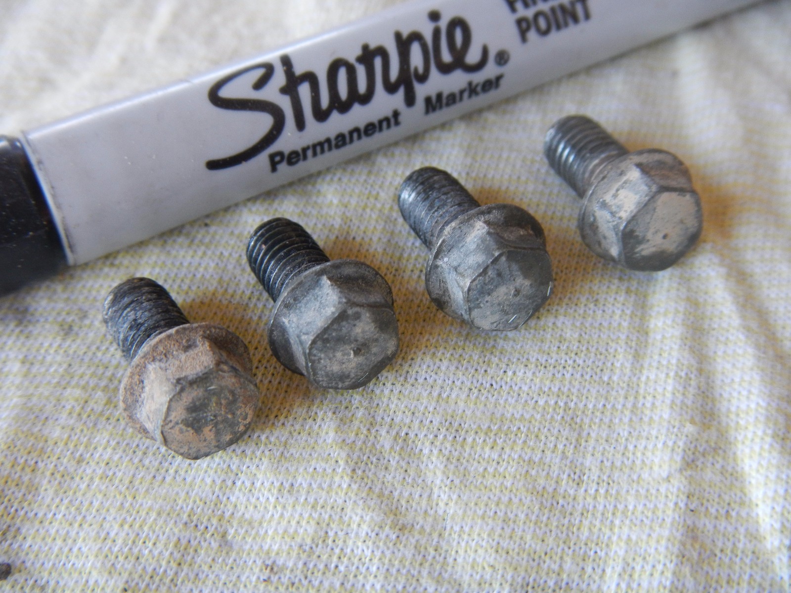 CAM CHAIN TENSIONER ADJUST ADJUSTER MOUNT BOLTS 1999 99 ARCTIC CAT 500