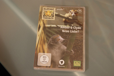 DVD Elefant Tiger & Co. Amber & Clyde Neue Liebe? (K36)