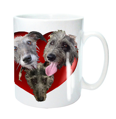 bedlington whippet lurcher
