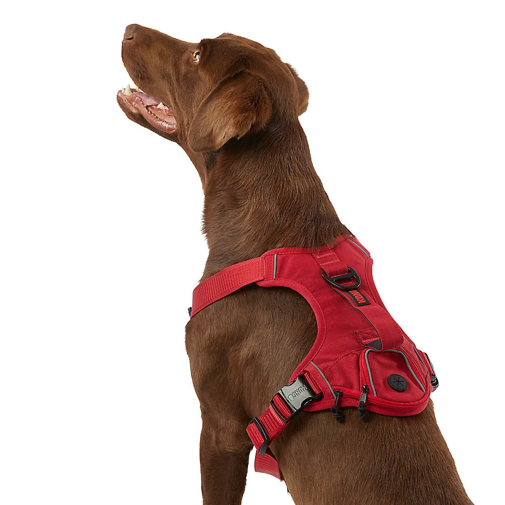 KONG Ultra Durable Padded Waste Bag Dog Harness M L Brand New! | eBay