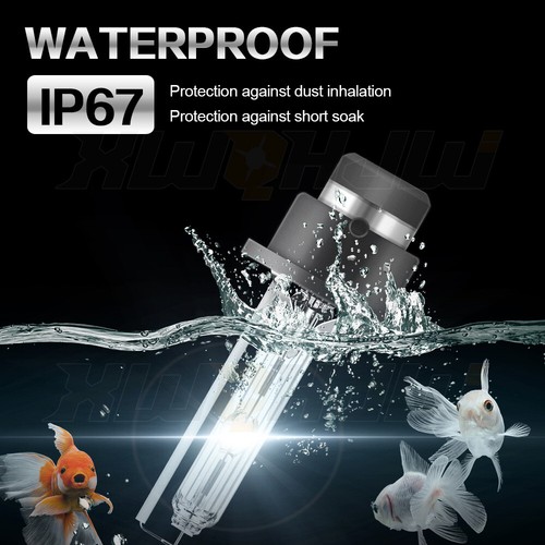 HID Headlight Bulb For Volvo C30 C70 2006-2013 LOW Beam Set of 2 - Picture 8 of 8