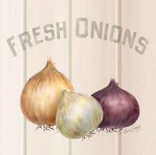 Ceramic Backsplash Tile Mural Fruit Vegetable Kitchen/Bathroom - Fresh Onions