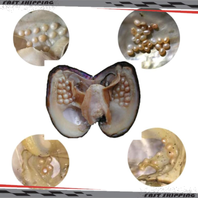 #ad Big Natural Freshwater Cultured Pearl Oyster With 5 7mm 25 Pearls Vacuum Pack $14.00