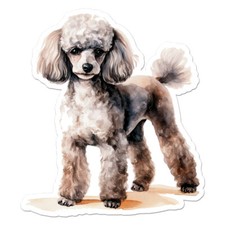 Poodle Dog Puppy, Vinyl Decal Sticker, Indoor Outdoor, 3 Sizes, 11391