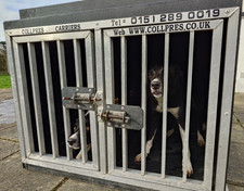 Dog Safety Travel Crate Carrier COLLPRES DT LINTRAN TRANSK9