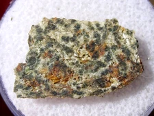 .935 grams 19x12x2mm Erg Chech 002 Meteorite ( Achondrite-ung ) slice with a COA