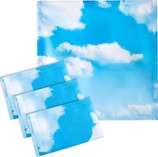 VIHOSE 4 Pcs 2 x 2 Feet Fluorescent Light Covers for Ceiling Lights Sky Cloud