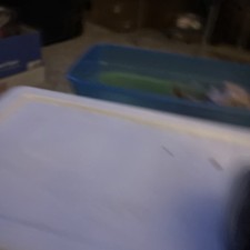 Dot Line Corp 35 mm Slide Viewer