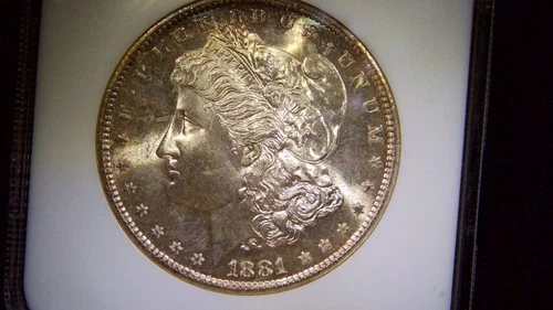 1881‑S Morgan Silver Dollar NGC MS65 – Bright Luster – Cert# 207416‑005
