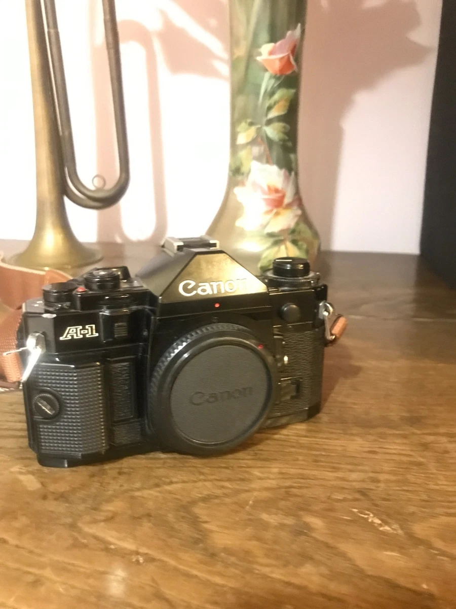 Appareil photo argentique Canon Dial 35-2 - Collection