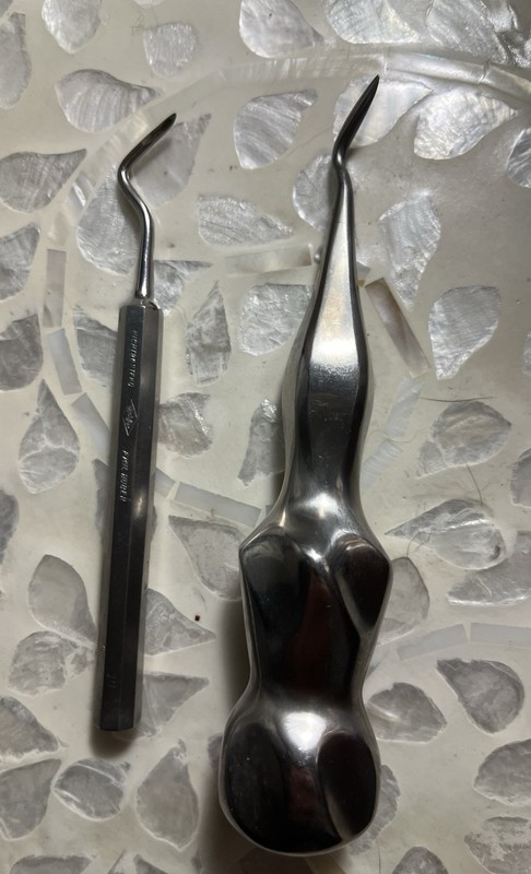 Stainless Steel 2pc Dental Instruments Set Extracting Forceps & Elevator