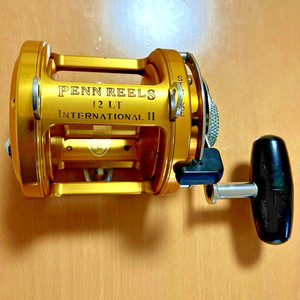 Penn International II | eBay