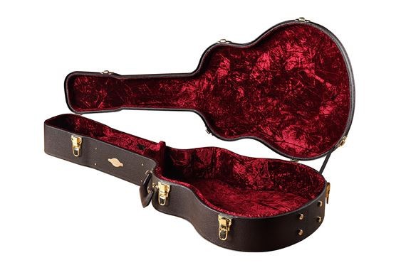 Taylor Case GS Brown 16 51790₽
