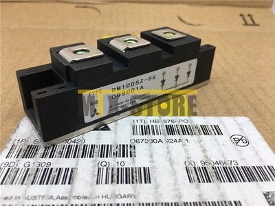 1PCS Brand New   Module RM100SZ-6S RM100SZ6S Quality Assurance 100% *mz