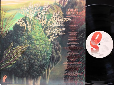 その他 LP Players Galaxy 25AP1011 OPENSKYE /00260 THE PLAYERS 