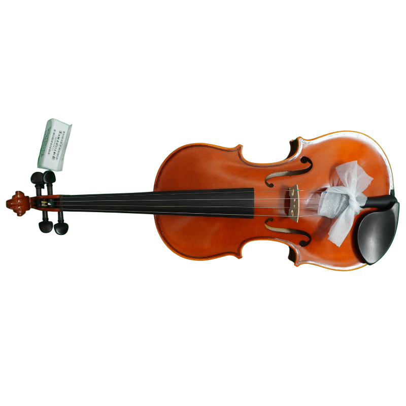 sugar 様○Eastman violin○バイオリン VL80 1/2 【公式通販】