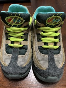 dinosaur air max 95