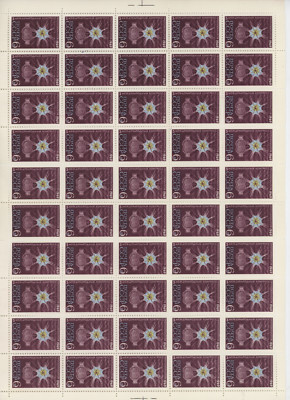 S48049 Russland 1969 postfrisch ** Protzoologischer Kongress 1v VOLLBLATT GEFALTET Mi# 3631