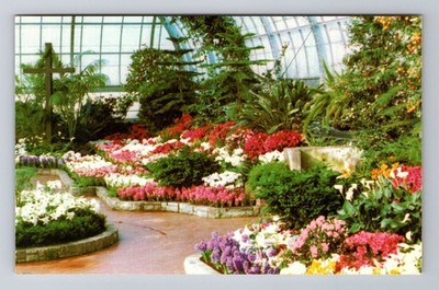 Cincinnati OH-Ohio, Krohn Conservatory Eden Park, Antique Vintage Postcard