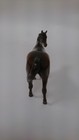 Bild 4 von 6