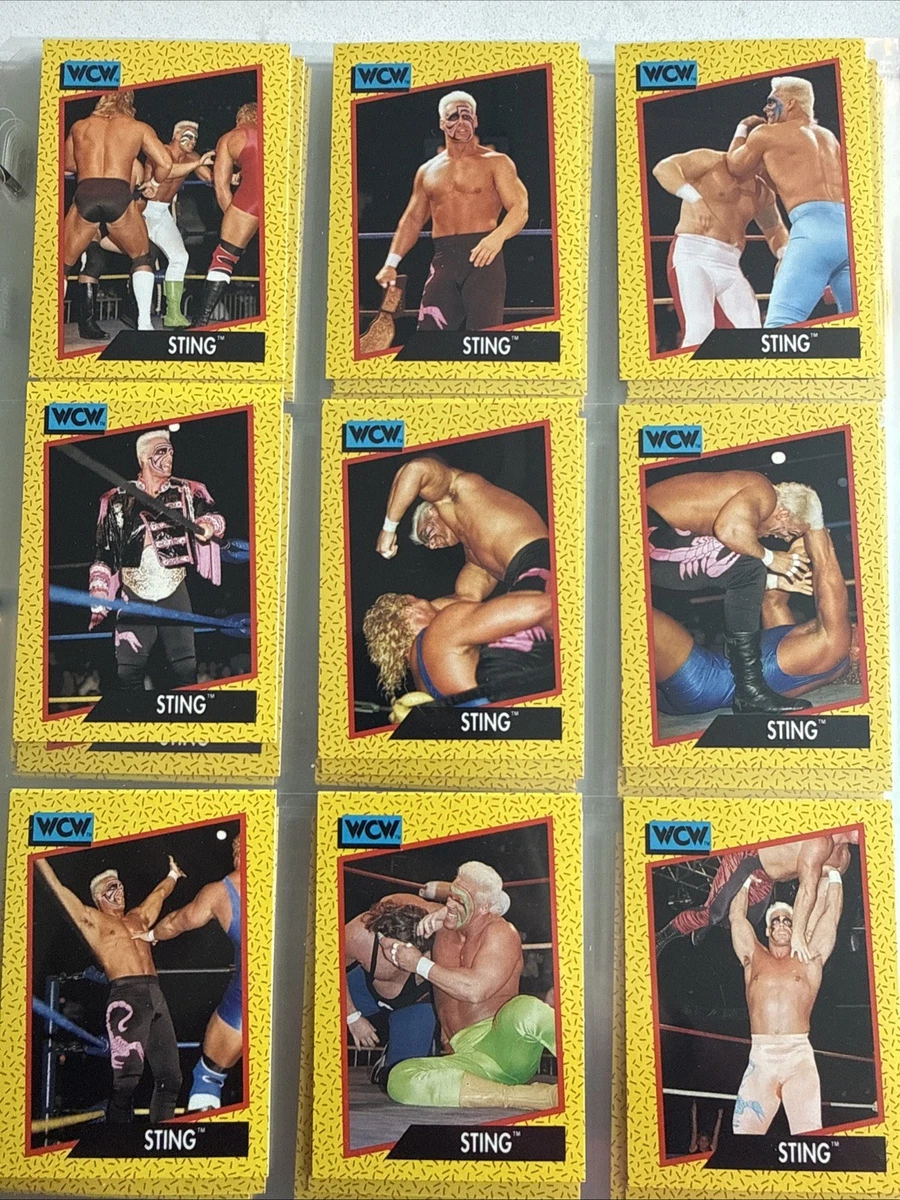 World Wrestling Championship (WCW) Wrestling 1991 Season Sports