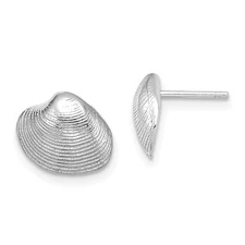 14K White Gold Clam Shell Earrings