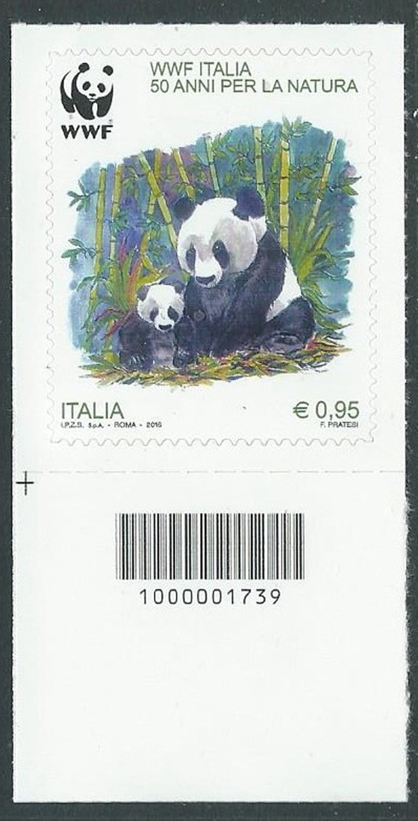 Foto 1 di 1