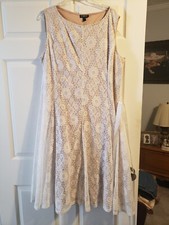 Blooming Rose Lace Cover Beautiful Dress